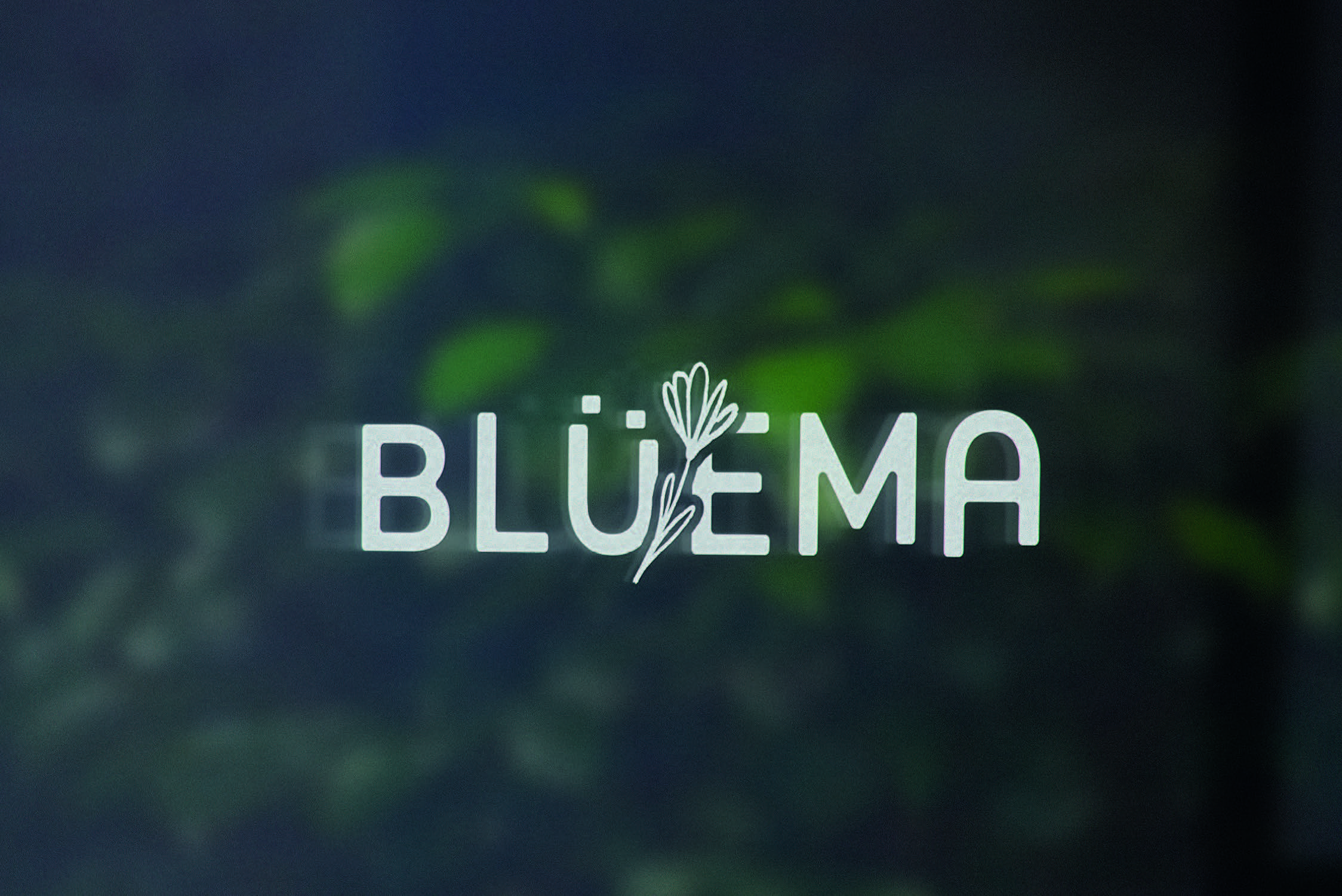 CHARTEGRAPHIQUE-BLUEMA-2025